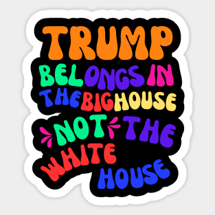 Trump for Prison 2024! Sticker